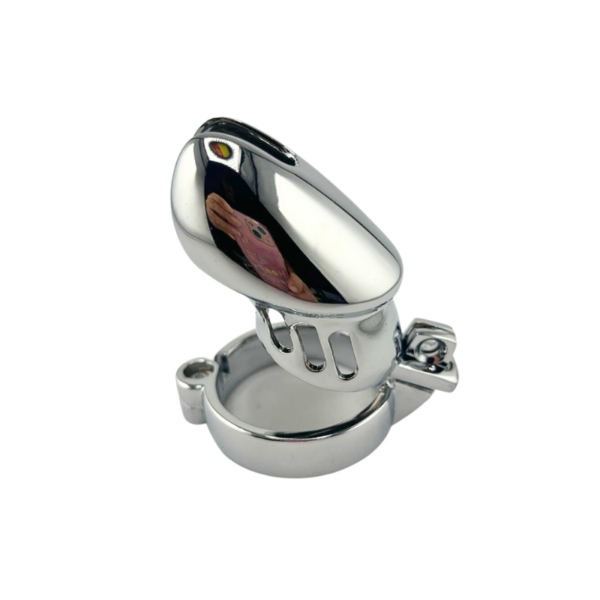 pleasure toy