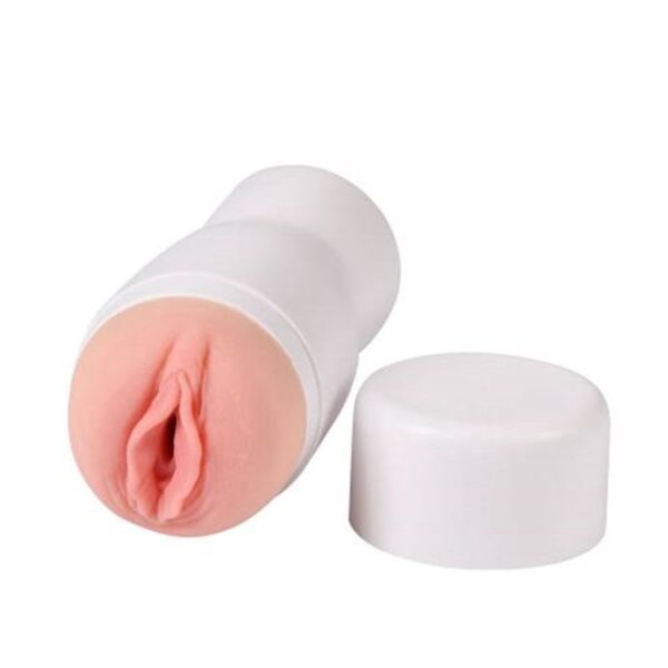 pleasure toy