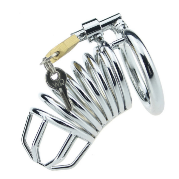 silver pleasure toy