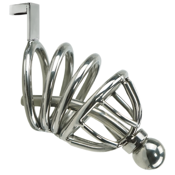 pleasure toy