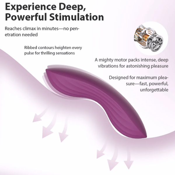 vibrator