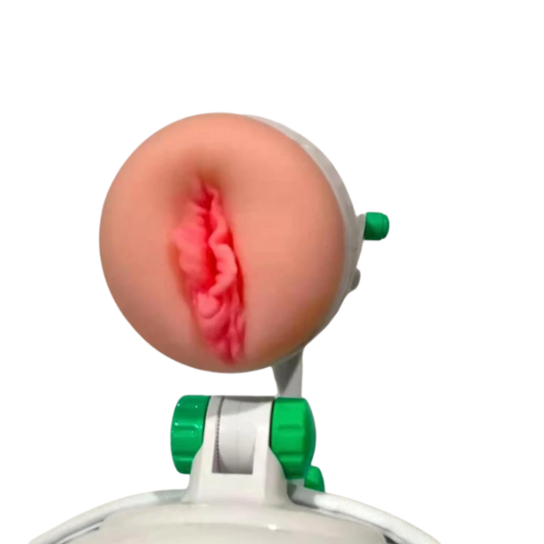 pleasure toy
