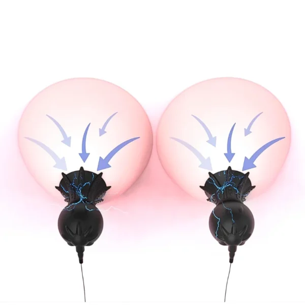 pleasure toy