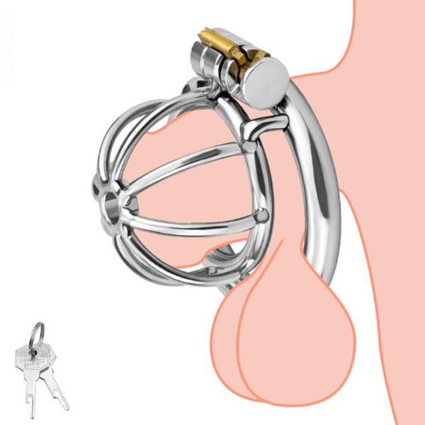 pleasure toy
