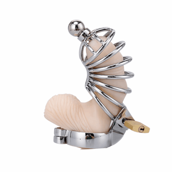 pleasure toy