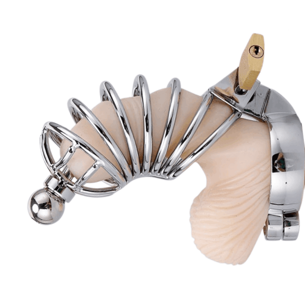 pleasure toy