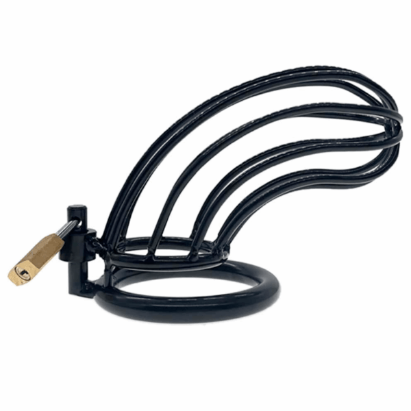 black pleasure toy