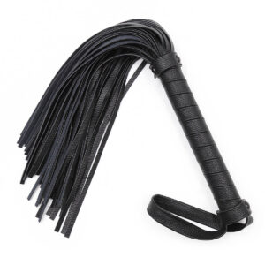 pleasure toy