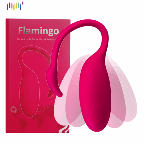 vibrator