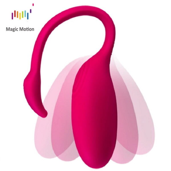 vibrator