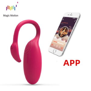 vibrator