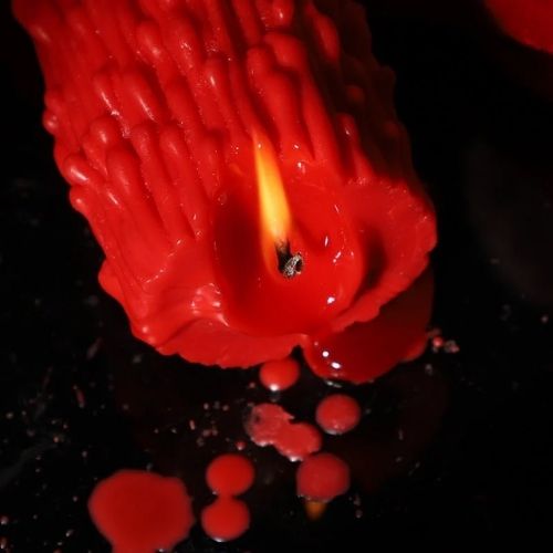 pleasure toy