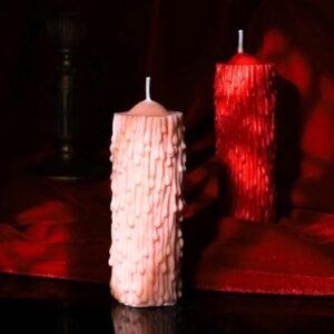 pleasure toy