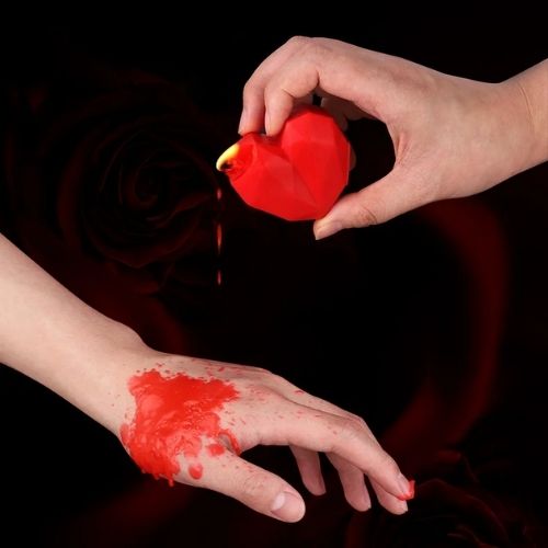 pleasure toy