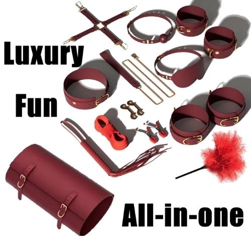 pleasure toy