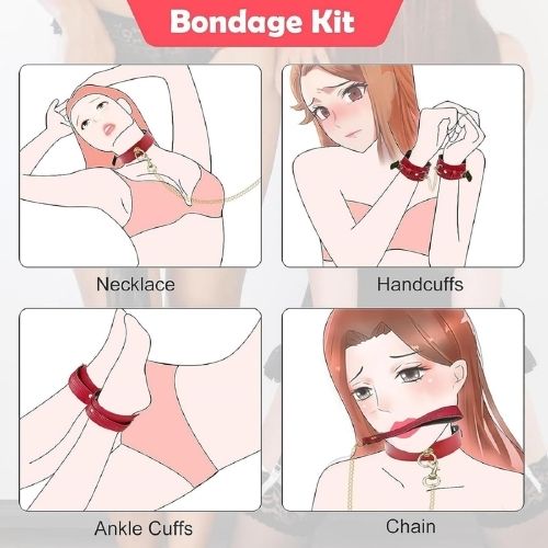 pleasure toy