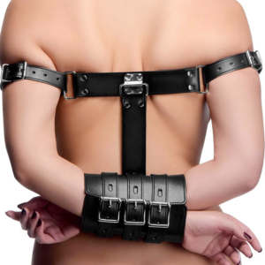 pleasure toy