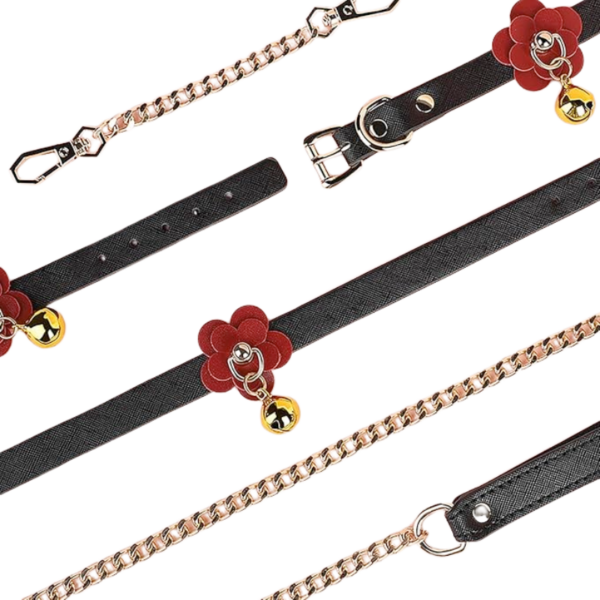 bondage accessory