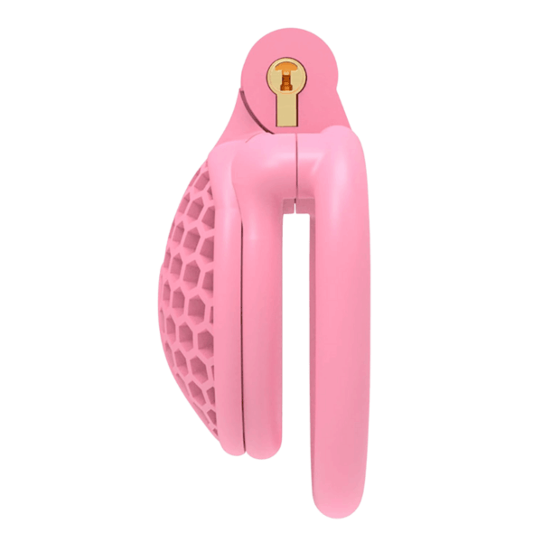The Hive Chastity Cage