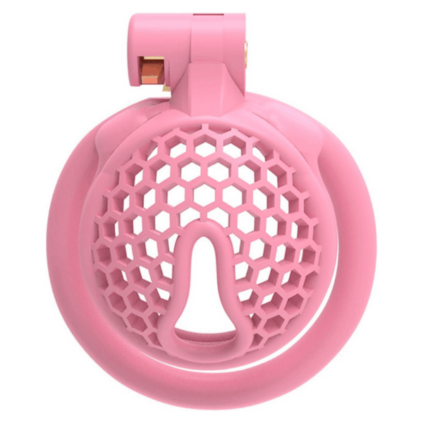 The Hive Chastity Cage
