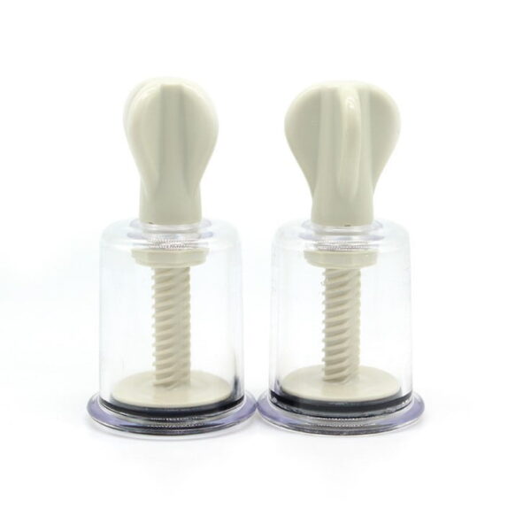 pleasure toy