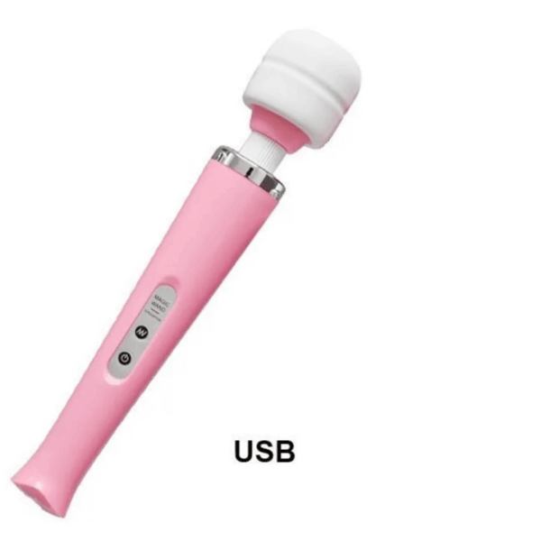 pleasure toy