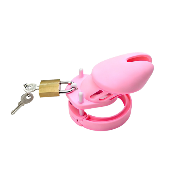 Calm Control Locking Chastity Cage