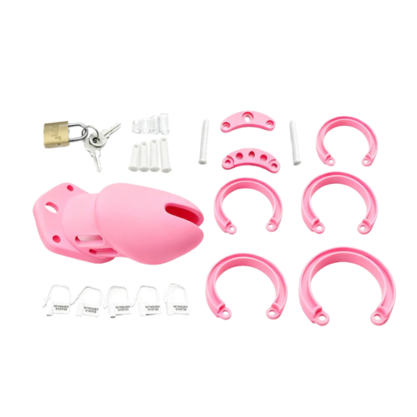 Calm Control Locking Chastity Cage