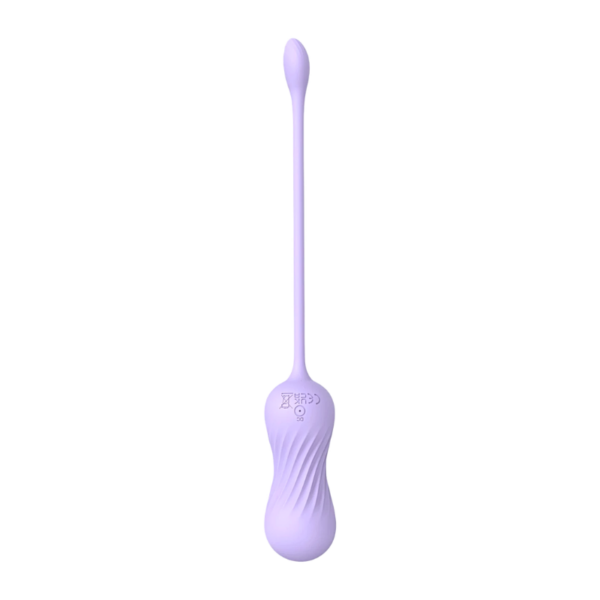 vibrator
