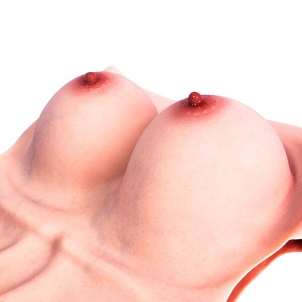 Goddess Ultra Realistic Silicone Boobs