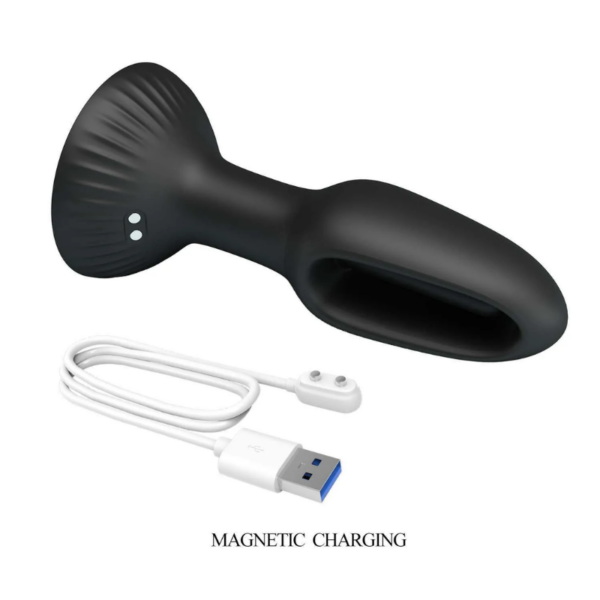 anal toy