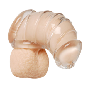 pleasure toy