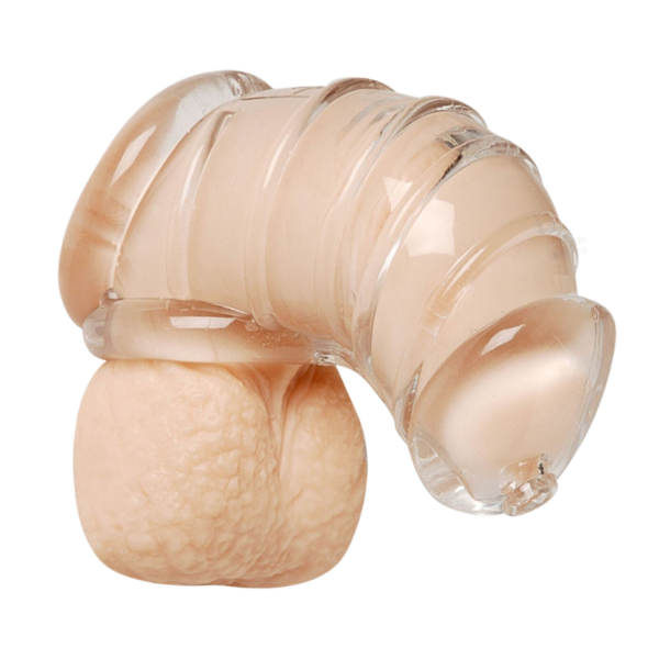 pleasure toy