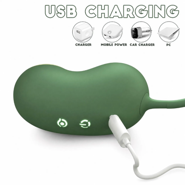 vibrator