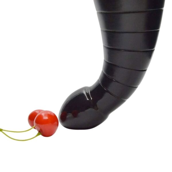 anal toy