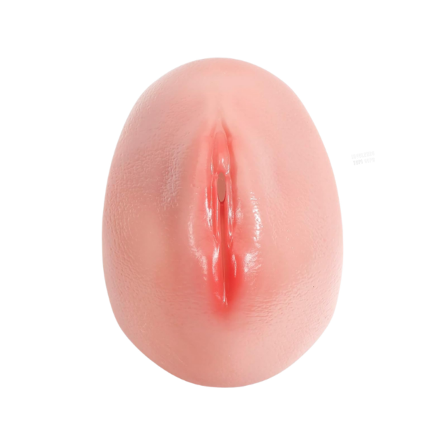pleasure toy