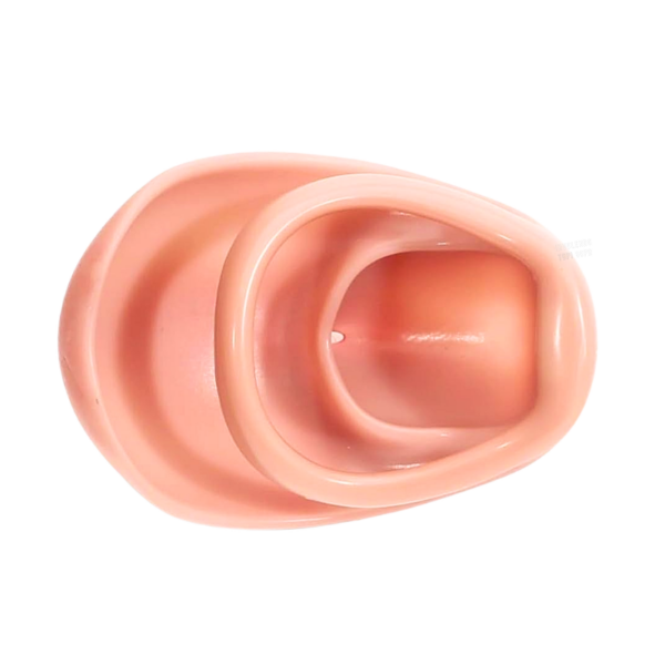 pleasure toy
