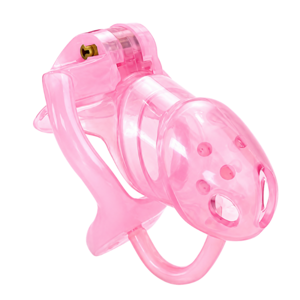 pleasure toy