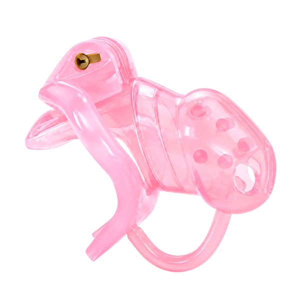 pleasure toy