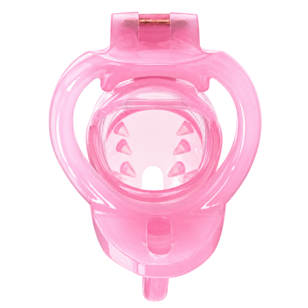 pleasure toy