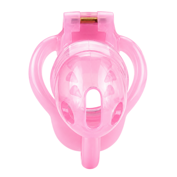 pleasure toy