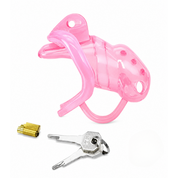 pleasure toy