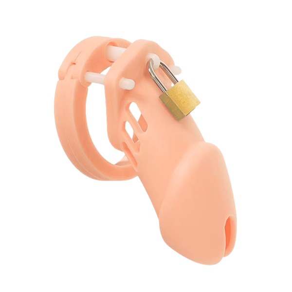 The Cellmate Chastity Cage