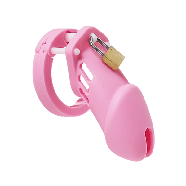 The Cellmate Chastity Cage