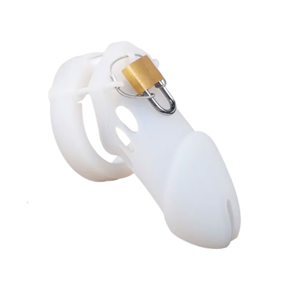 The Cellmate Chastity Cage
