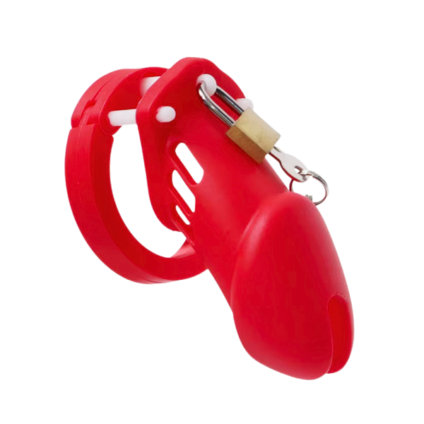 The Cellmate Chastity Cage