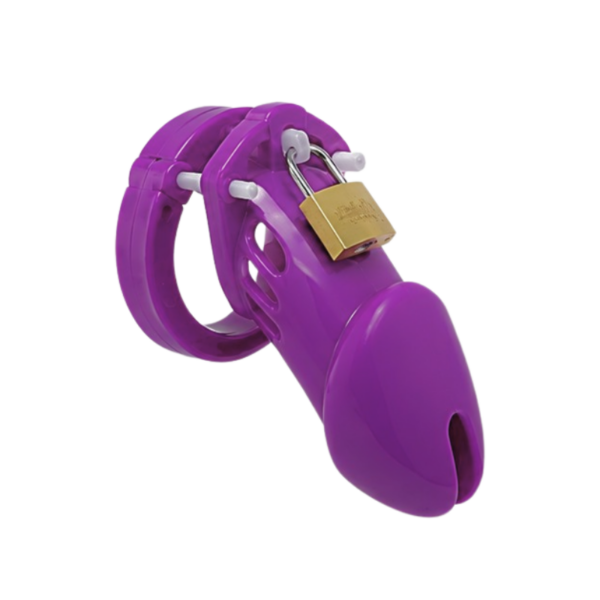 The Cellmate Chastity Cage