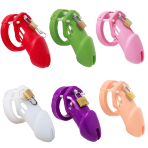 The Cellmate Chastity Cage