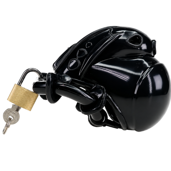 pleasure toy