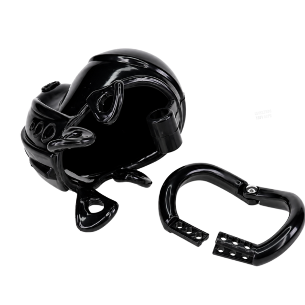 pleasure toy